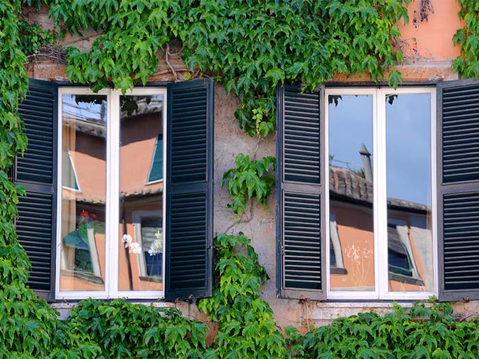 2 fenetres avec volets battants ouverts